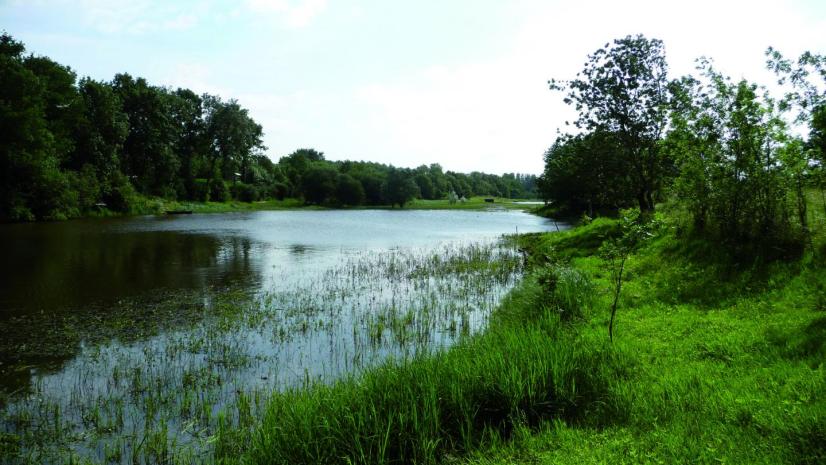 Boire de la Bridonnière © Cen Pays de la Loire