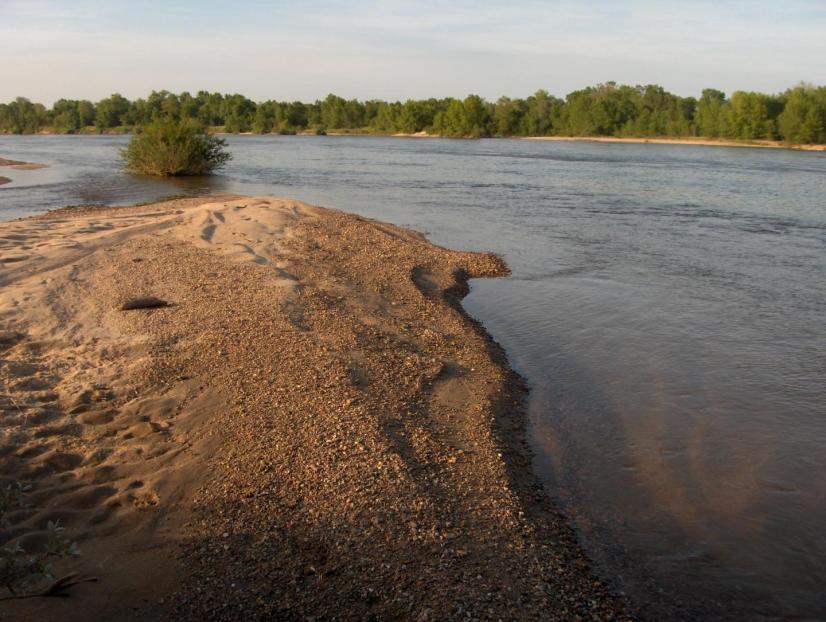 Banc de sable sur la Loire © J. Levrat