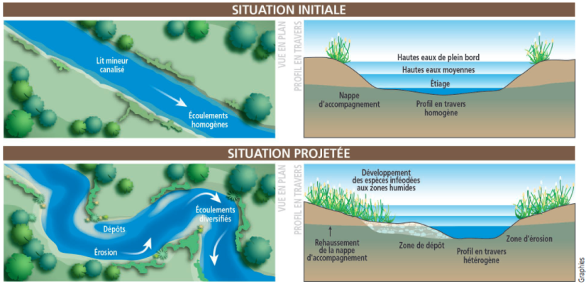 OFB, le reméandrage - recueil d'expériences sur l'hydromorphologie