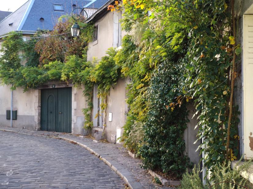 La végétalisation, une solution pour la fraîcheur en ville ! - Orléans © ARB Centre-Val de Loire