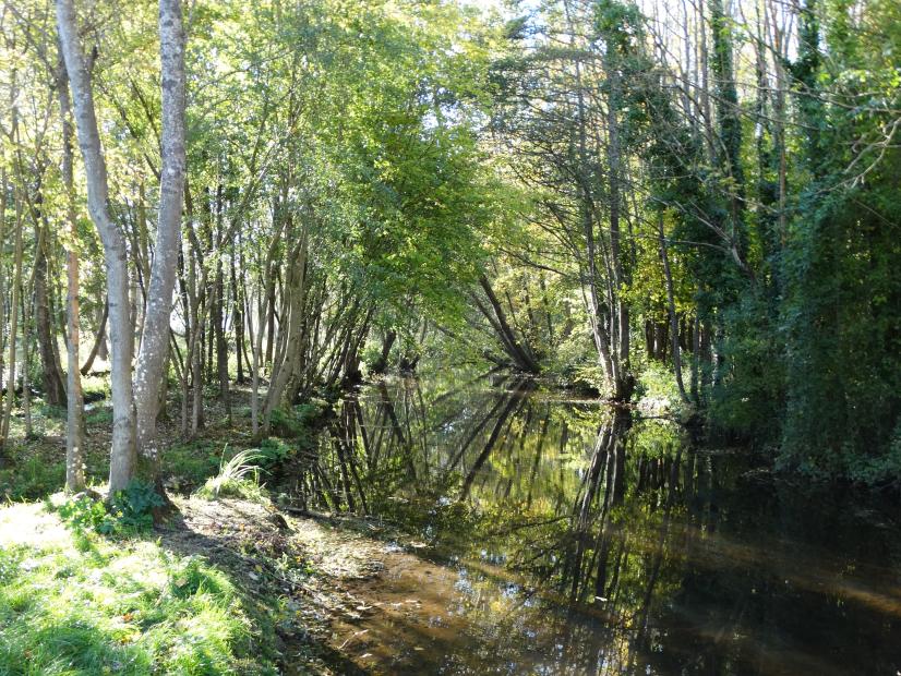La qualité de notre environnement influence notre santé - Vallée de l'Oeuf (45) © ARB Centre-Val de Loire