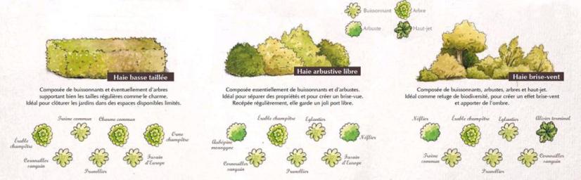 Différents types de haies, multiples services
