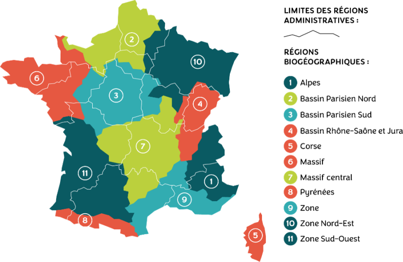 11 aires biogéographiques en France métropolitaine dessinées pour la marque Végétal local