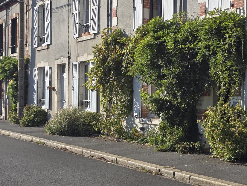 Végétalisation de murs à Orléans ©L. Roger-Perrier, ARB Centre-Val de Loire