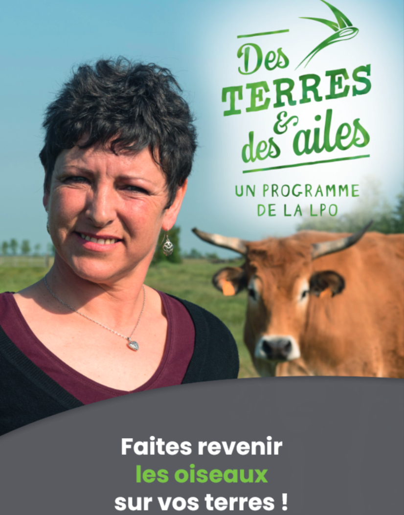 Brochure Des Terres et des Ailes | LPO