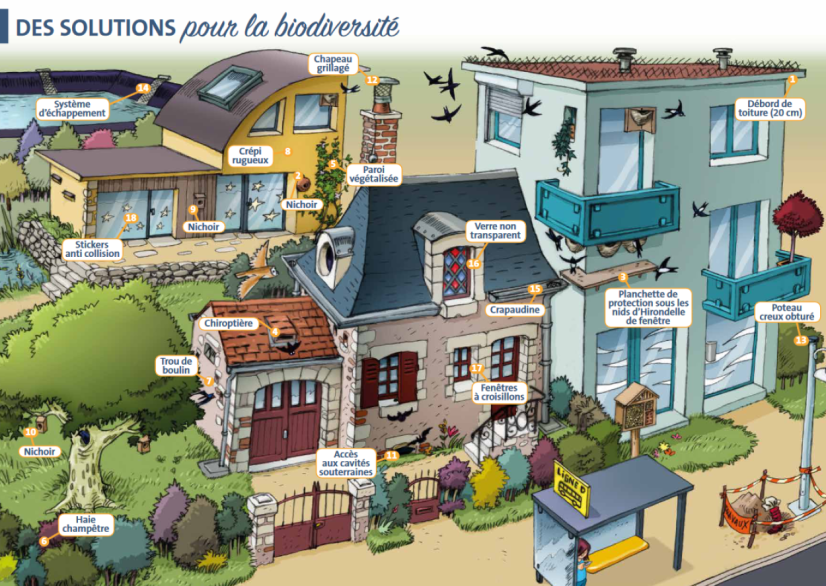 Illustration du Guide "Nature et bâti" © Loiret Nature Environnement