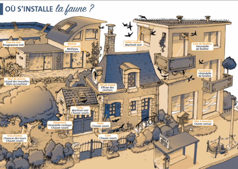 Illustration du Guide "Nature et bâti" © Loiret Nature Environnement