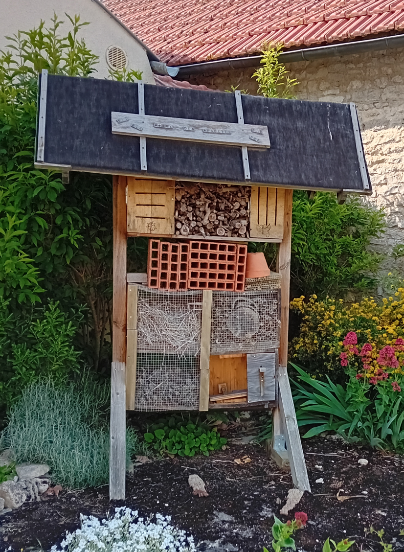 Les insectes, pas si différents de nous... Eux aussi préfèrent ne pas vivre entassés ! © B. Virely