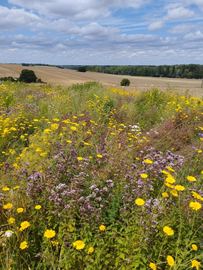 © C. Swiderki - Hommes et Territoires 