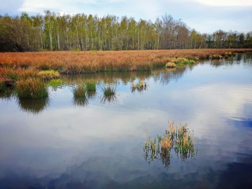 Etang du Mouet - Saint-Viâtre