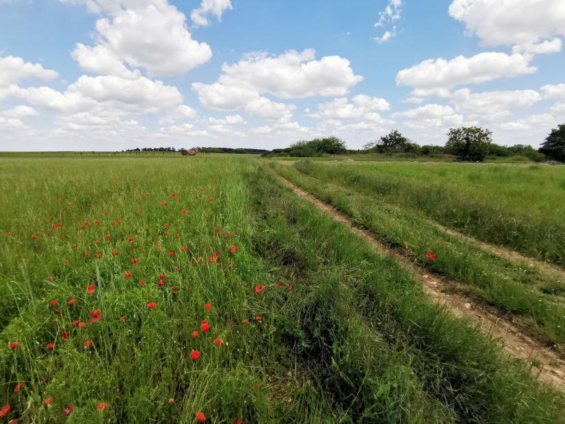 Petite Beauce ©ARB, L. Roger-Perrier