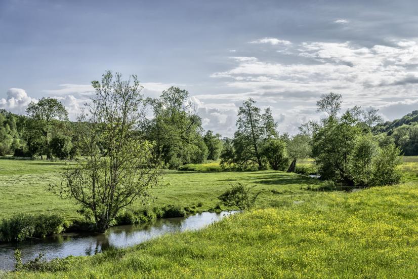 Rivière l'Ozée, 28 ©Didier Leplat