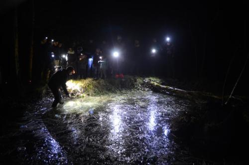 Sortie nocturne en quête d'amphibiens - Cen Centre-Val de Loire/Benoît Allard