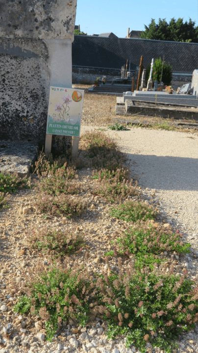 Panneau informatif mis en place à l'intérieur du cimetière, à Auzouer en touraine @ SEPANT