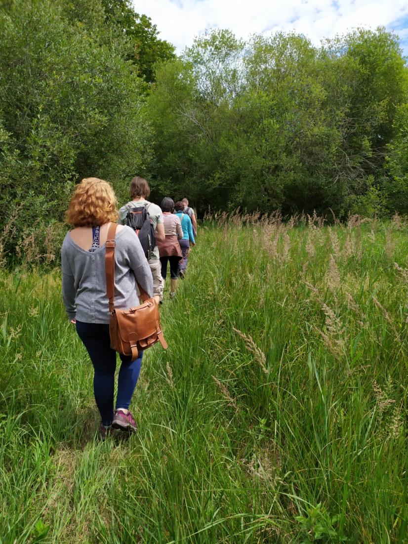 ENS des Marais de Chavannes dans le Cher en début d'été © Mélanie Couret