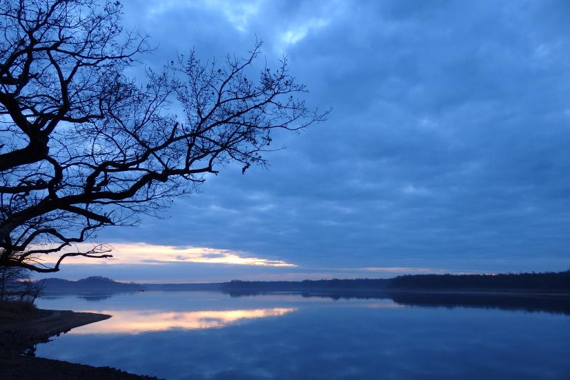 Étang de la Mer Rouge (Rosnay) au petit matin © Quentin Revel