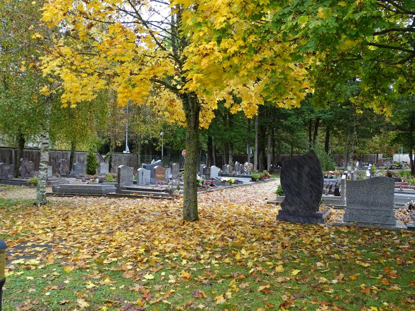 Cimetière de l'Orme à Luisant © ARB-CVL