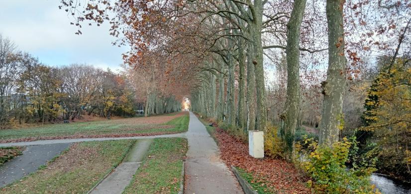 Trouée verte à Bourges, "autoroute à chauves-souris", non éclairée © Bourges Plus