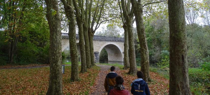 cheminement dans Chârost © ARB-CVL