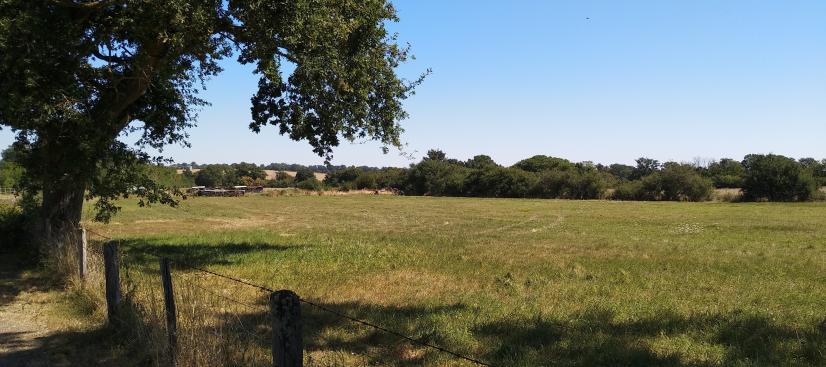 Bocage à Marçais © ARB-CVL