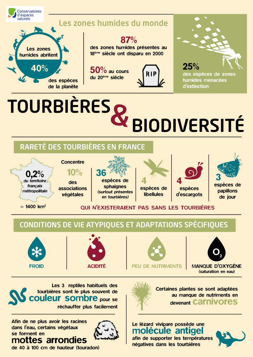 Infographie du Pôle-Relais Tourbières (extrait)