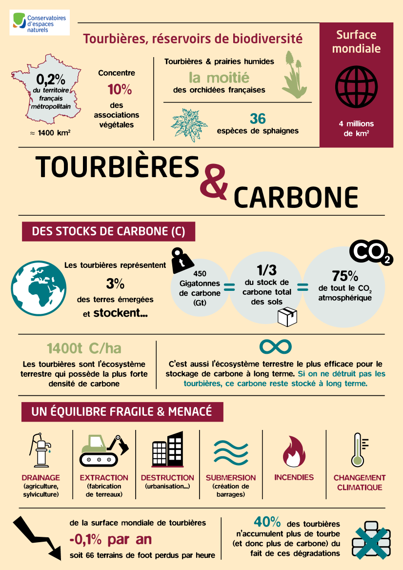 Infographie du Pôle-Relais Tourbières (extrait)