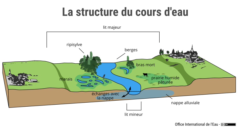 Schéma "structure du cours d'eau © OIEau 2017