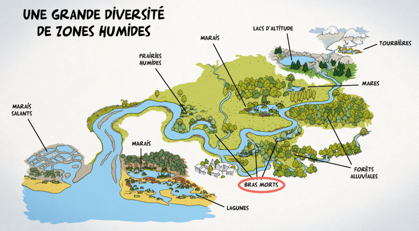 @ Agence de l’eau Rhône Méditerranée Corse / bigbang communication - extrait de la vidéo "Zones humides, zones utiles"