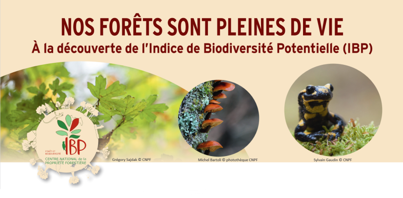 Extrait de la brochure CNPF "Nos forêts sont pleine de vie - A la découverte de l'IBP" © CNPF