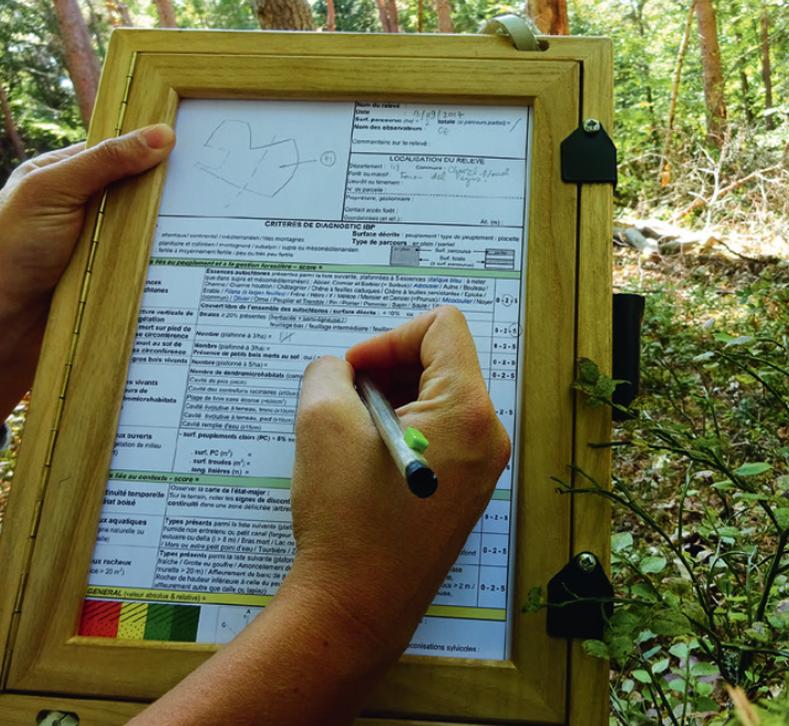 Relevé IBP en forêt - Céline Emberger © CNPF