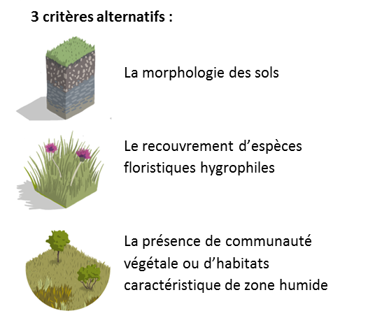 Critères de définition d'une zone humide © Centre de ressources milieux humides