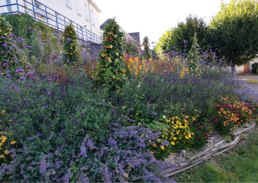 Massif à Buzançais © mairie de Buzançais