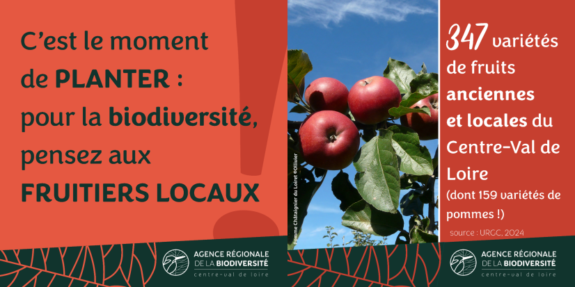 Publié le 07/11/24