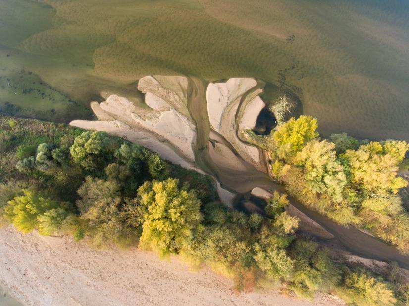 La Loire à Candes-Saint-Martin © N. Van Ingen