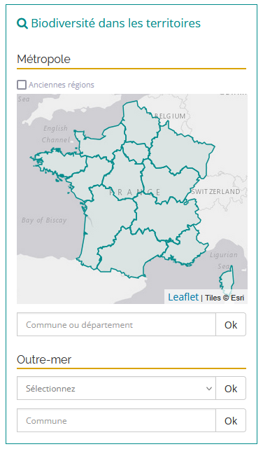 Sur la page d'accueil, après quelques scrolls, apparaît sur la droite un encart pour une recherche par territoire