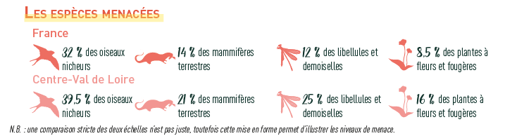 Extrait de l'infographie "Chiffres-clefs de la biodiversité en France et en Centre-Val de Loire" de l'Observatoire