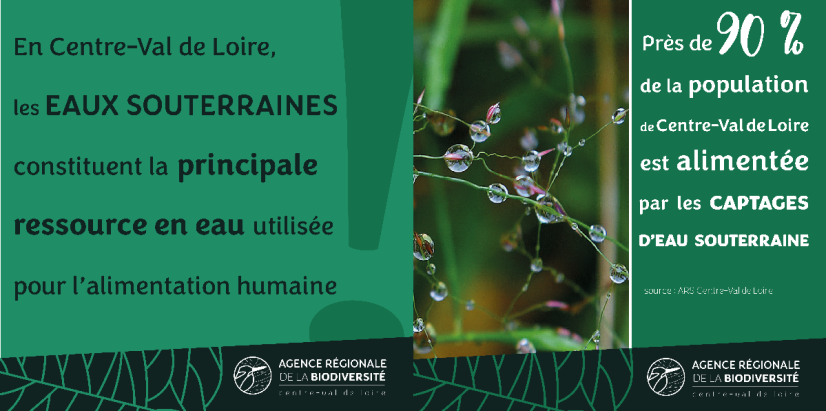 Publié le 15/01/2026