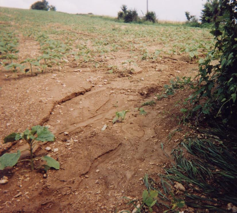 Éosion de sol ©Chambre d'agriculture 18