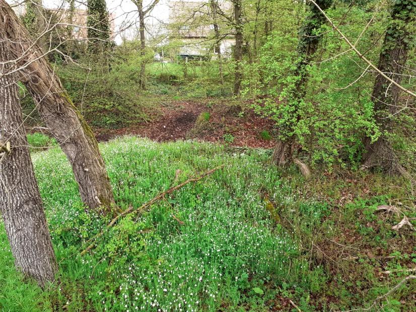 Bassin pluvial boisé, Boigny sur Bionne © P.Larmande