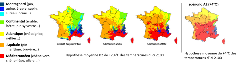 Source Badeau et al., 2010, INRA et ONF