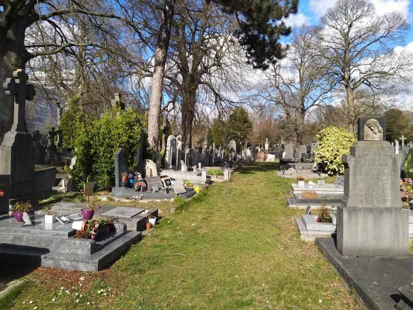 Cimetière végétalisé, Lille © P.Larmande