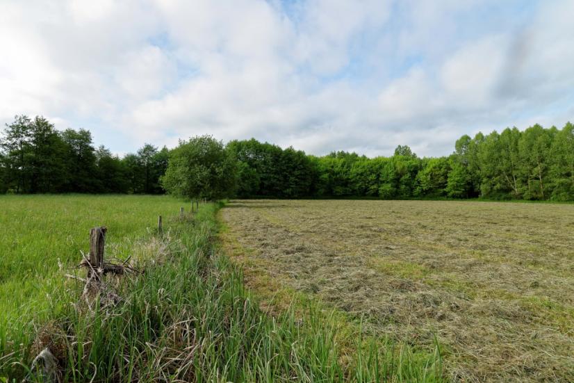 Prairie de fauche, vallée de l'Ouanne ©F.Hergotte Cen Centre-Val de Loire