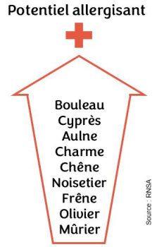 Potentiel allergisant des différents pollens