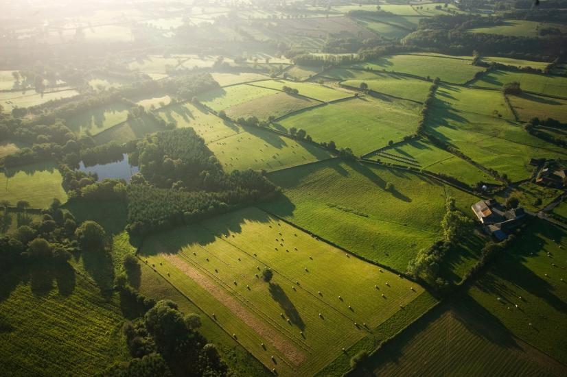 Bocage à Pouligny Saint Martin dans l'Indre © Nicolas Van Ingen