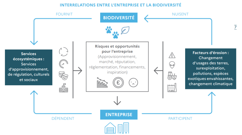 Entreprises engagées pour la nature : guide pour l’action, OFB, 2021