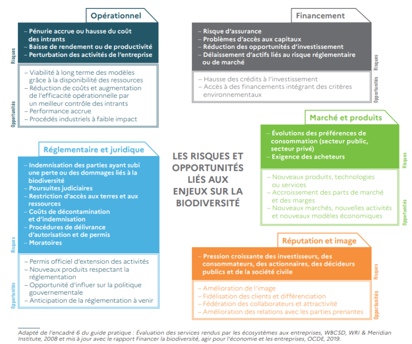 Risques et opportunités liés aux enjeux de biodiversité