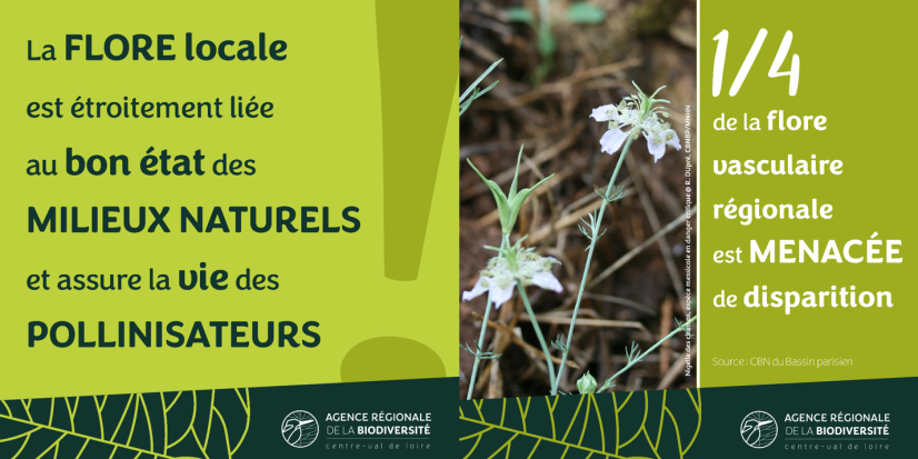 Publié le 12/05/2025