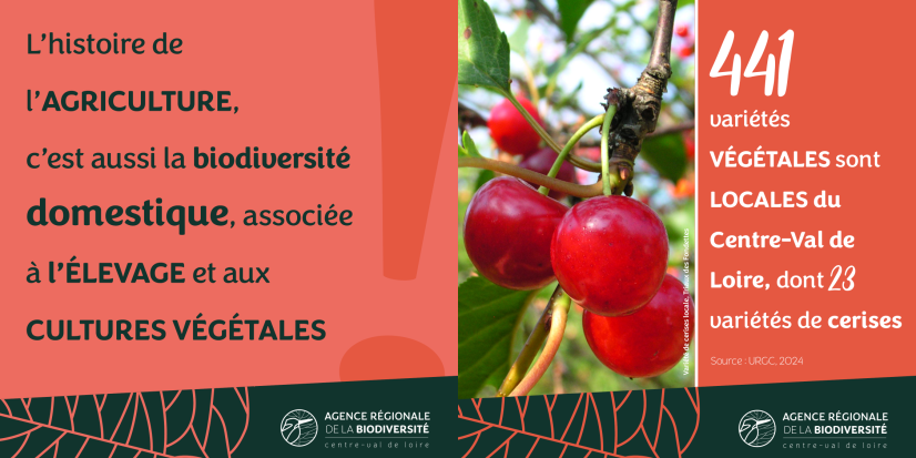 Publié le 06/06/2025