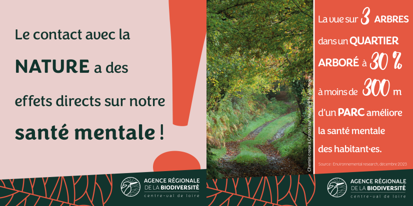 Publié le 15/01/25