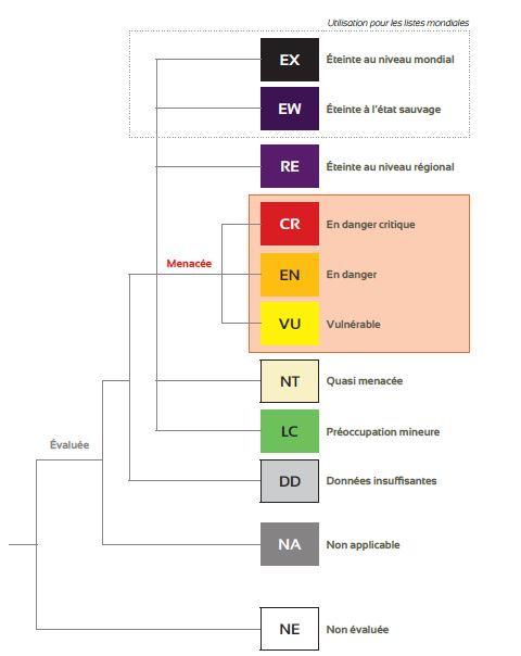Catégories de menace de l'UICN